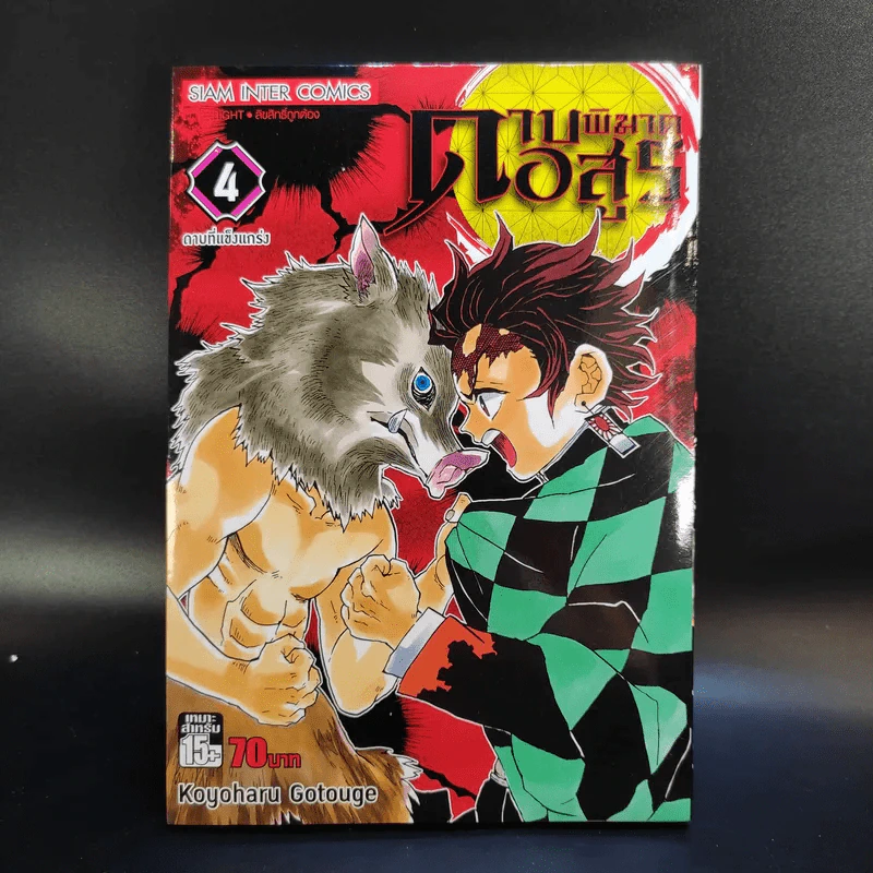 การ์ตูน ดาบพิฆาตอสูร 23 เล่มจบ + นิยาย ดาบพิฆาตอสูร 5 เล่ม รูปที่ 11
