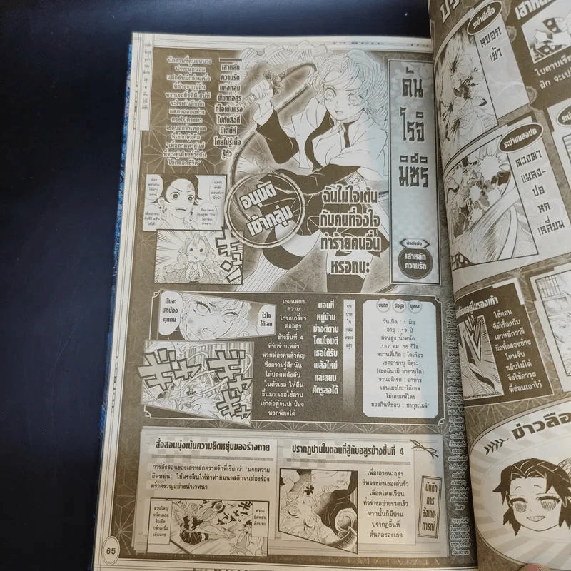 การ์ตูน ดาบพิฆาตอสูร 23 เล่มจบ + นิยาย ดาบพิฆาตอสูร 5 เล่ม รูปที่ 41