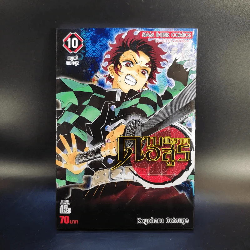 การ์ตูน ดาบพิฆาตอสูร 23 เล่มจบ + นิยาย ดาบพิฆาตอสูร 5 เล่ม รูปที่ 17