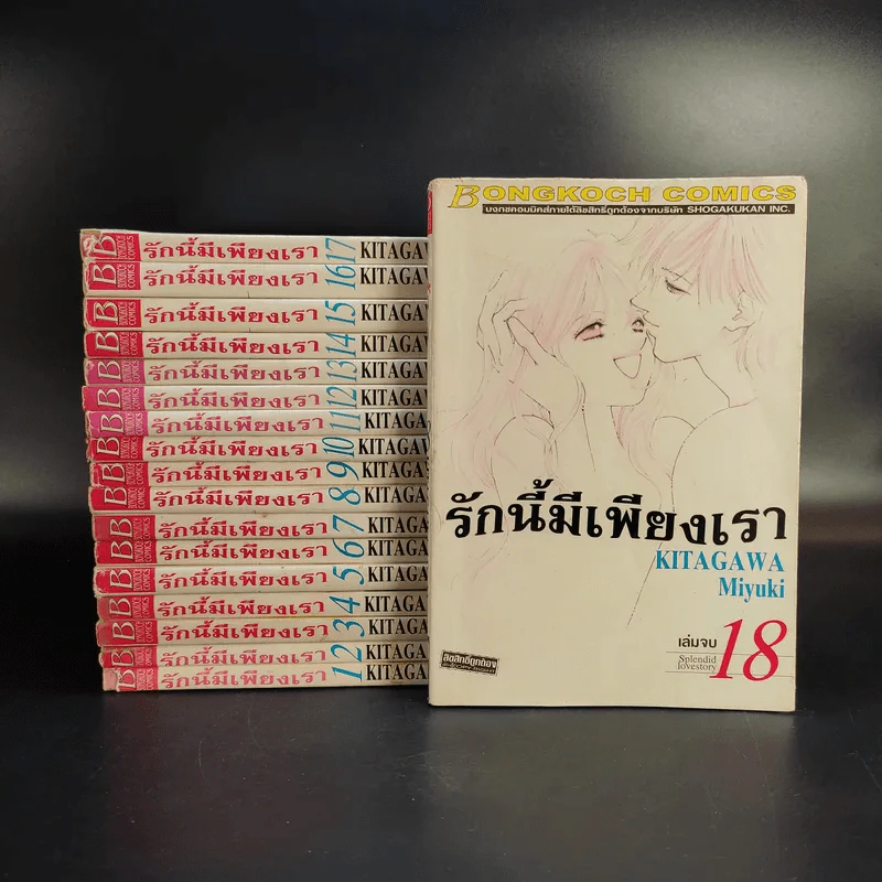 รักนี้มีเพียงเรา 18 เล่มจบ รูปที่ 1