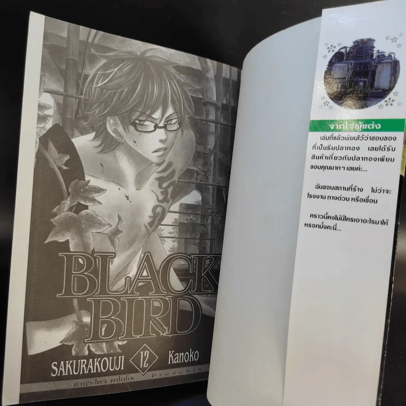 Black Bird 18 เล่มจบ รูปที่ 41