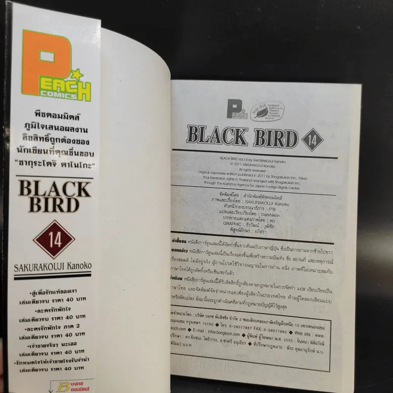 Black Bird 18 เล่มจบ รูปที่ 48