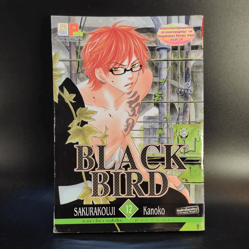 Black Bird 18 เล่มจบ รูปที่ 40