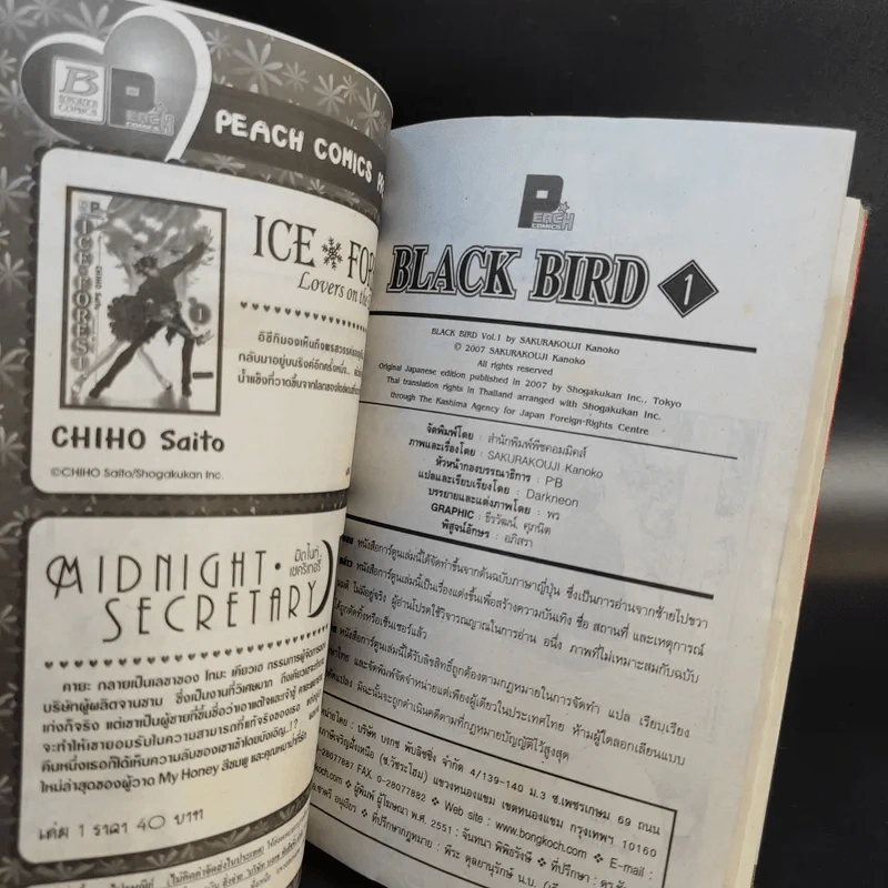 Black Bird 18 เล่มจบ รูปที่ 9