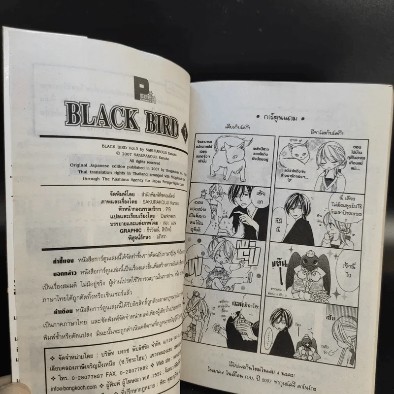 Black Bird 18 เล่มจบ รูปที่ 15