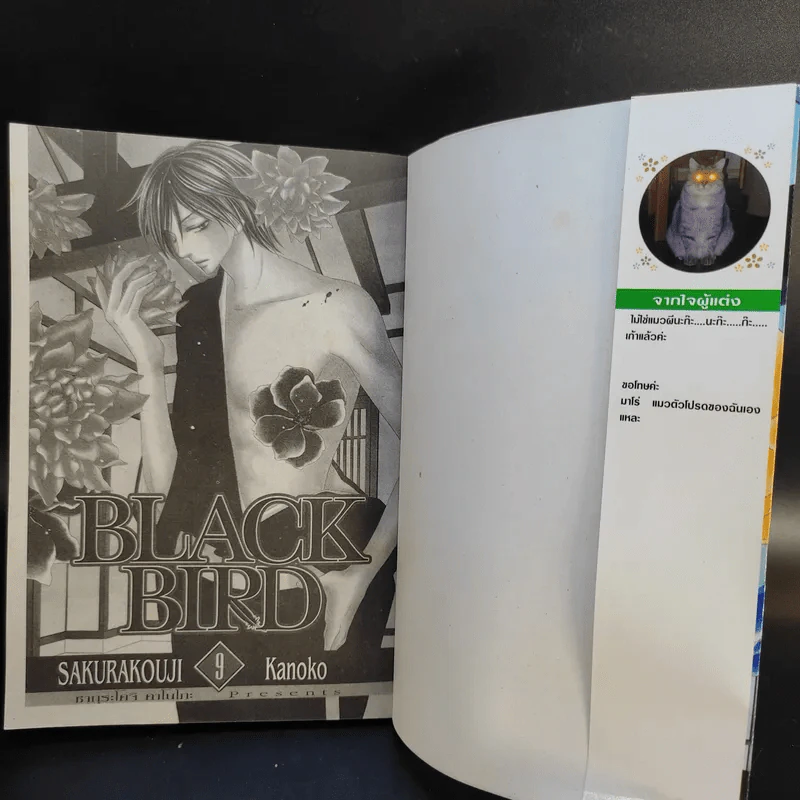 Black Bird 18 เล่มจบ รูปที่ 32