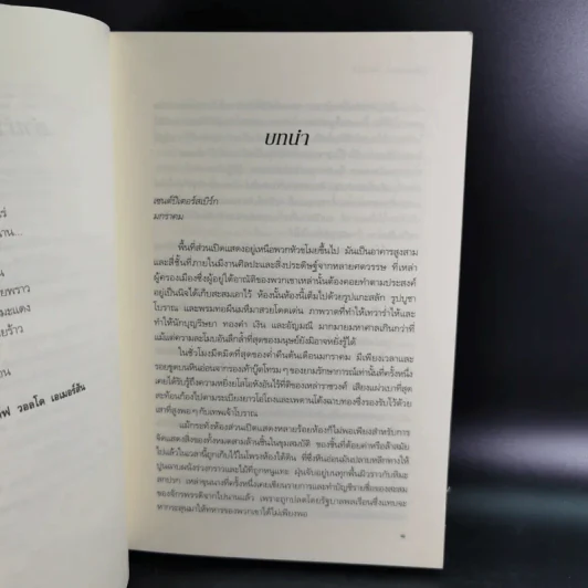 พลอยใจ - เอลิซาเบธ โลเวลล์ รูปที่ 11