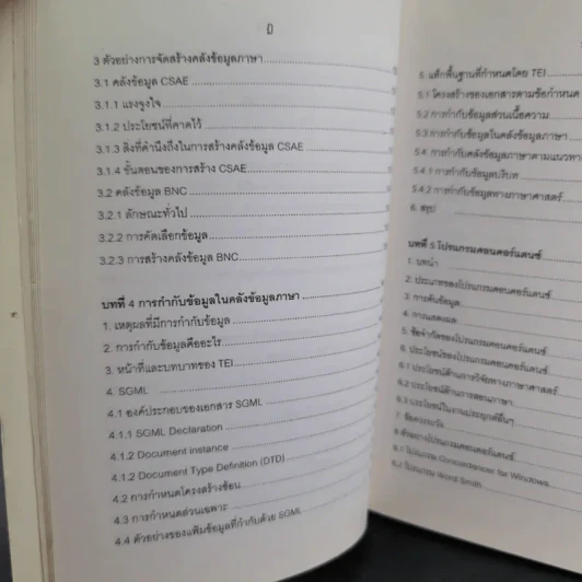 ภาษาศาสตร์คลังข้อมูล - วิโรจน์ อรุณมานะกุล รูปที่ 13