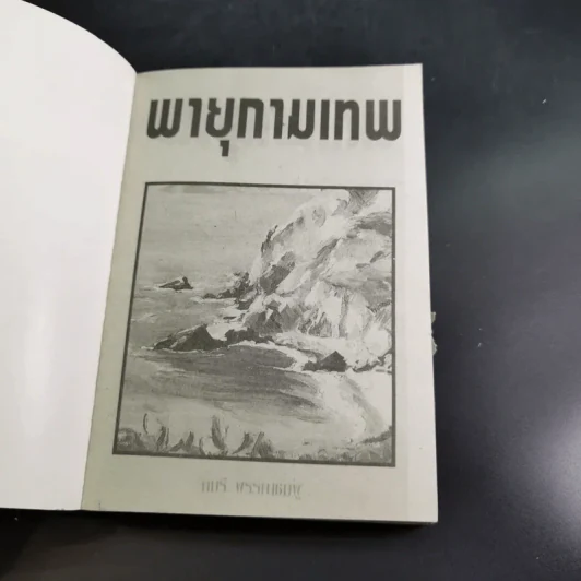 พายุกามเทพ - จามรี พรรณชมพู รูปที่ 9