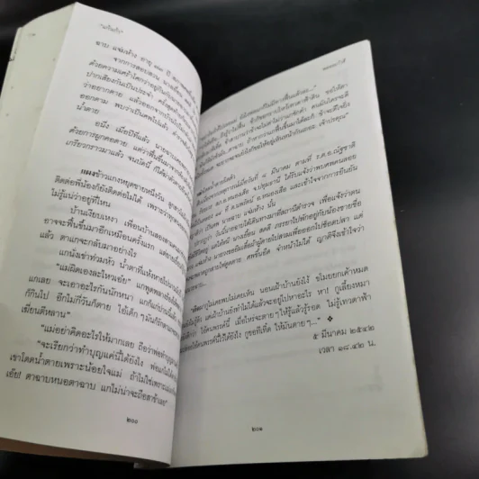 พลอยเก้าสี - แก้วเก้า รูปที่ 15