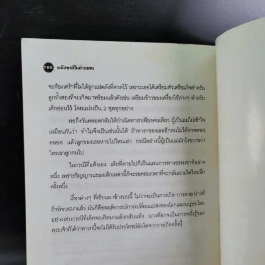 ระลึกชาติในต่างแดน - ปรางปรายะภพ รูปที่ 17