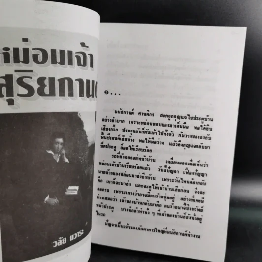 คนใจหิน - จามรี พรรณชมพู รูปที่ 9