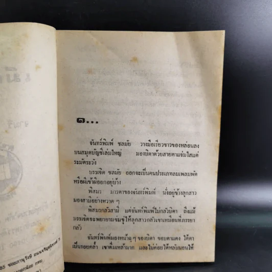 เมียพยศ - จามรี พรรณชมพู รูปที่ 8