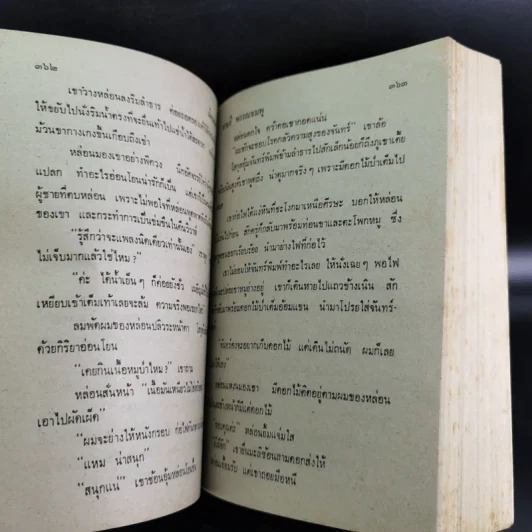 เมียพยศ - จามรี พรรณชมพู รูปที่ 10