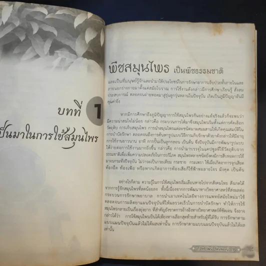 ยาไทยขนานเอก - อ.อิทธิวัฒน์ รัตนพองบู่ รูปที่ 13