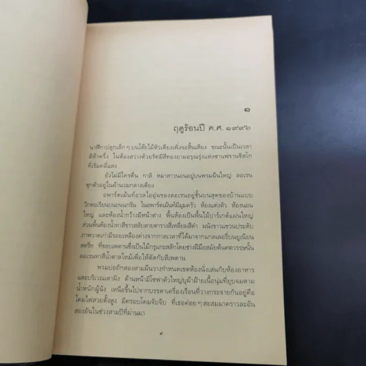ปาฏิหาริย์รักต่างภพ - มาร์ก เลอวี รูปที่ 10