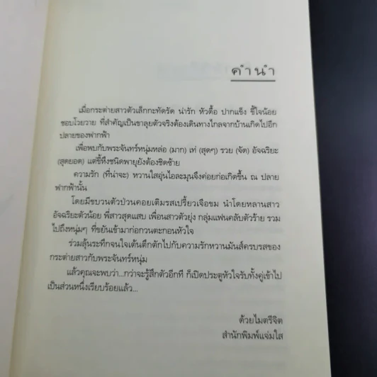 กระต่ายในเงาจันทร์ (ความรู้สึกดีที่เรียกว่ารัก ชุดพิเศษ) - นราเกตต์ รูปที่ 11
