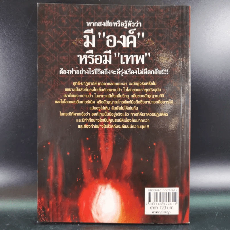 หากสงสัยหรือรู้ตัวว่า มีองค์หรือมีเทพ ต้องทำอย่างไรชีวิตถึงจะดีรุ่งเรืองไม่มีตกอับ - อมตะ เทพรักษา รูปที่ 2