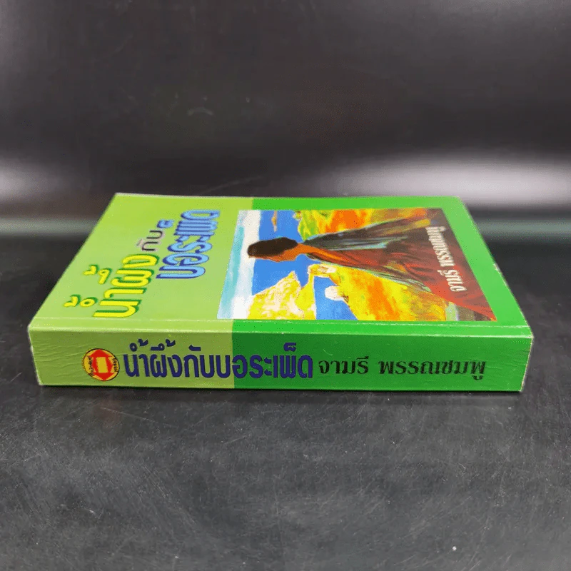 น้ำผึ้งกับบอระเพ็ด - จามรี พรรณชมพู รูปที่ 3