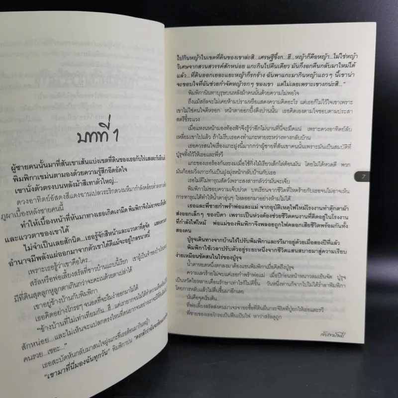 เจ้าสาวบ้านไร่ - จันทริกา รูปที่ 11