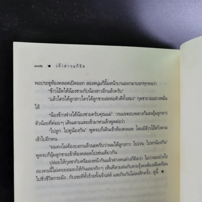 เจ้าสาวแก้ขัด - เพลงใบไม้ รูปที่ 12