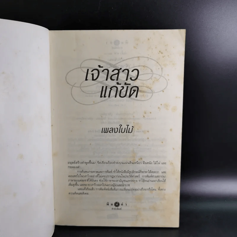 เจ้าสาวแก้ขัด - เพลงใบไม้ รูปที่ 8