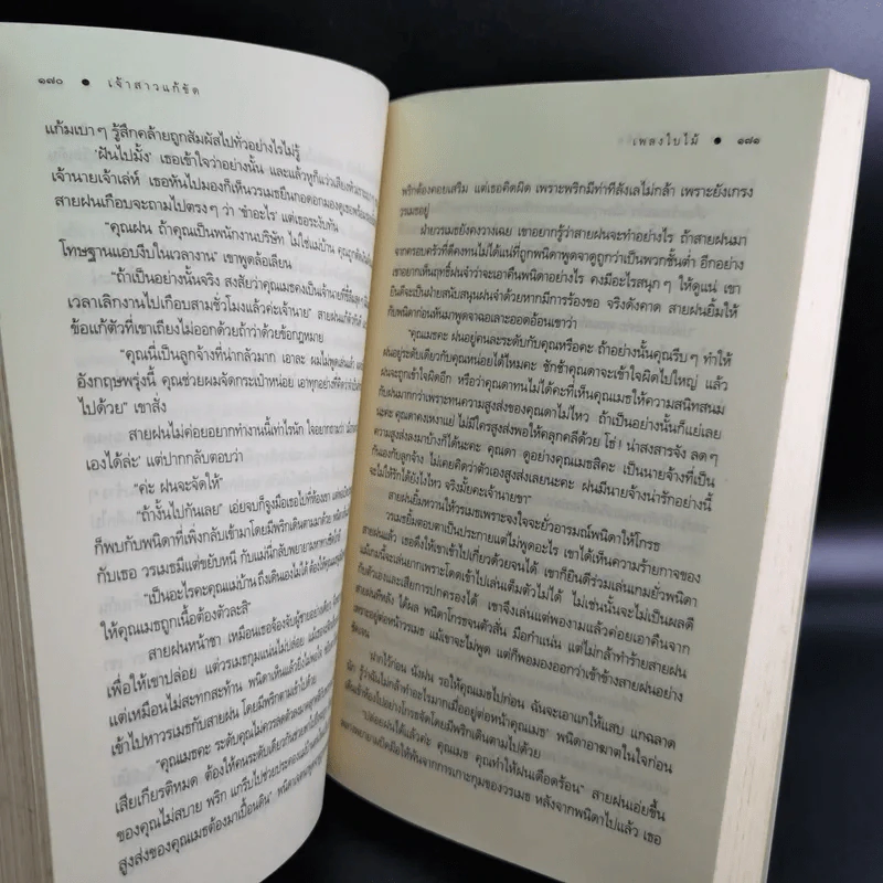 เจ้าสาวแก้ขัด - เพลงใบไม้ รูปที่ 11