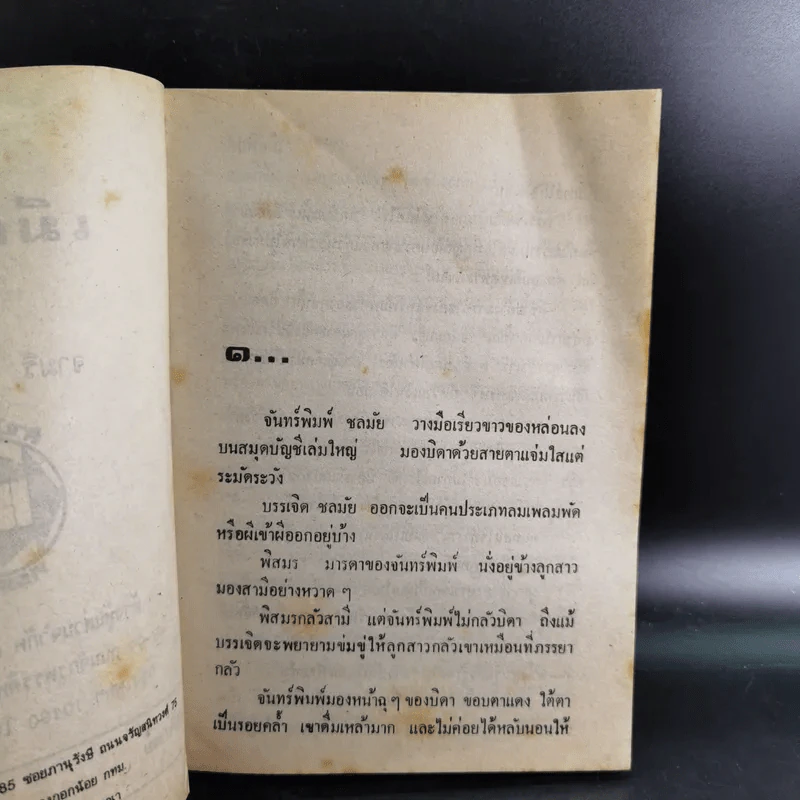 เมียพยศ - จามรี พรรณชมพู รูปที่ 8