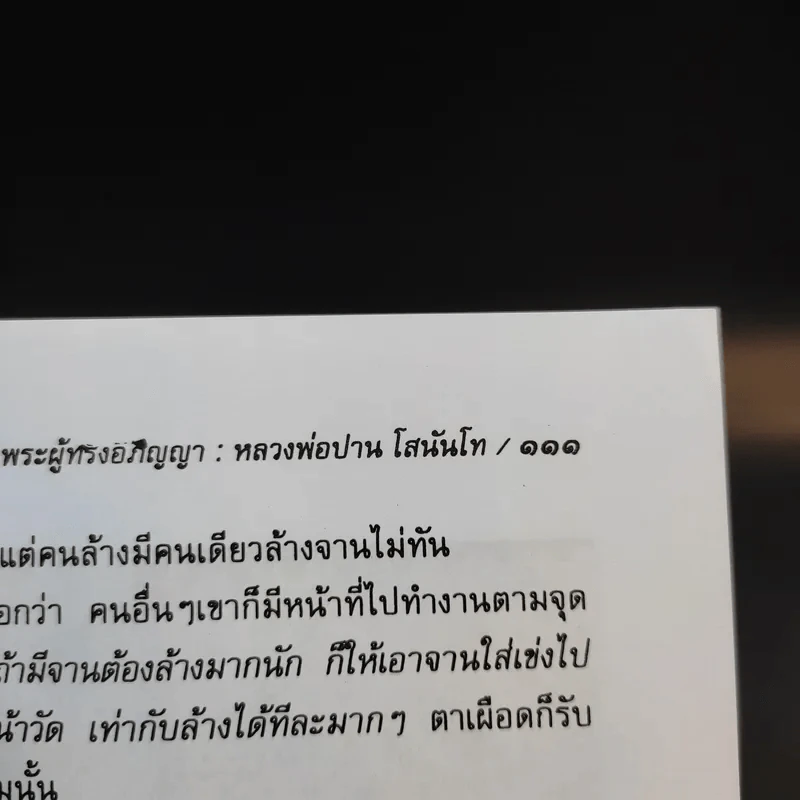 พระผู้ทรงอภิญญา หลวงพ่อปาน โสนันโท - นที ลานโพธิ รูปที่ 13