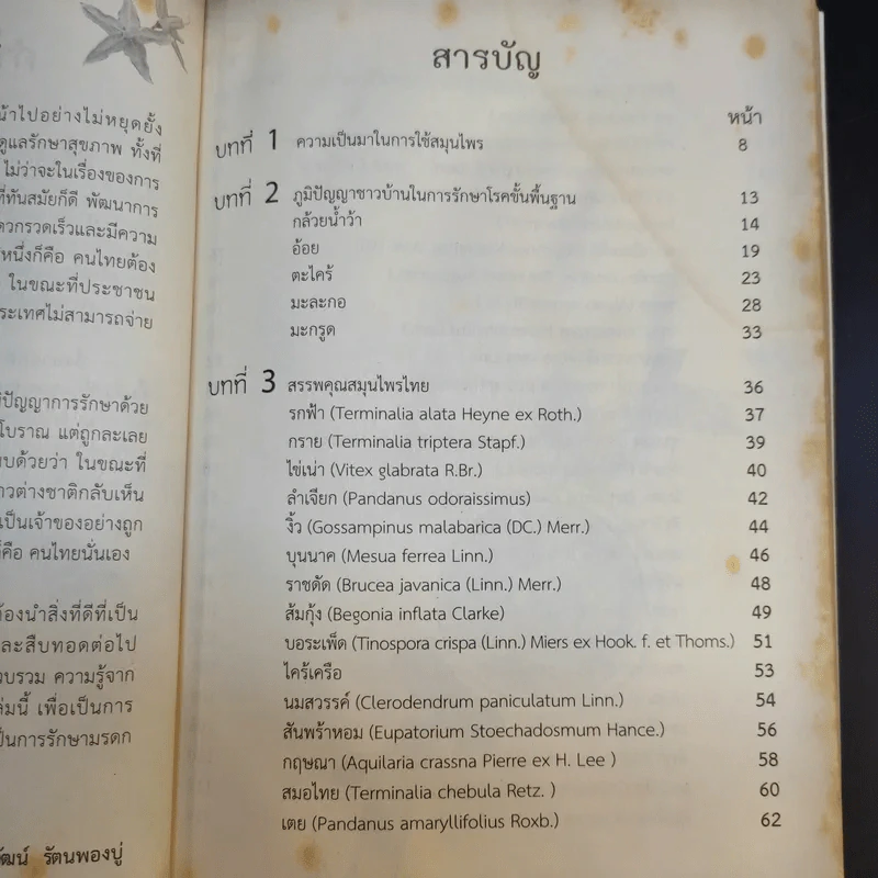 ยาไทยขนานเอก - อ.อิทธิวัฒน์ รัตนพองบู่ รูปที่ 11