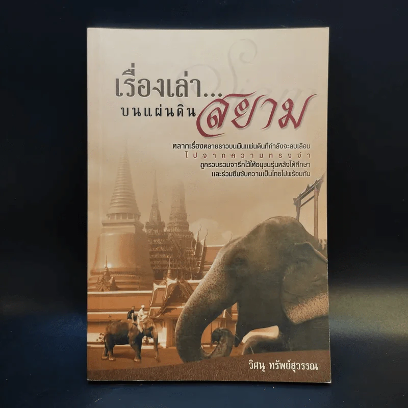 เรื่องเล่าแผ่นดินสยาม - วิศนุ ทรัพย์สุวรรณ รูปที่ 1