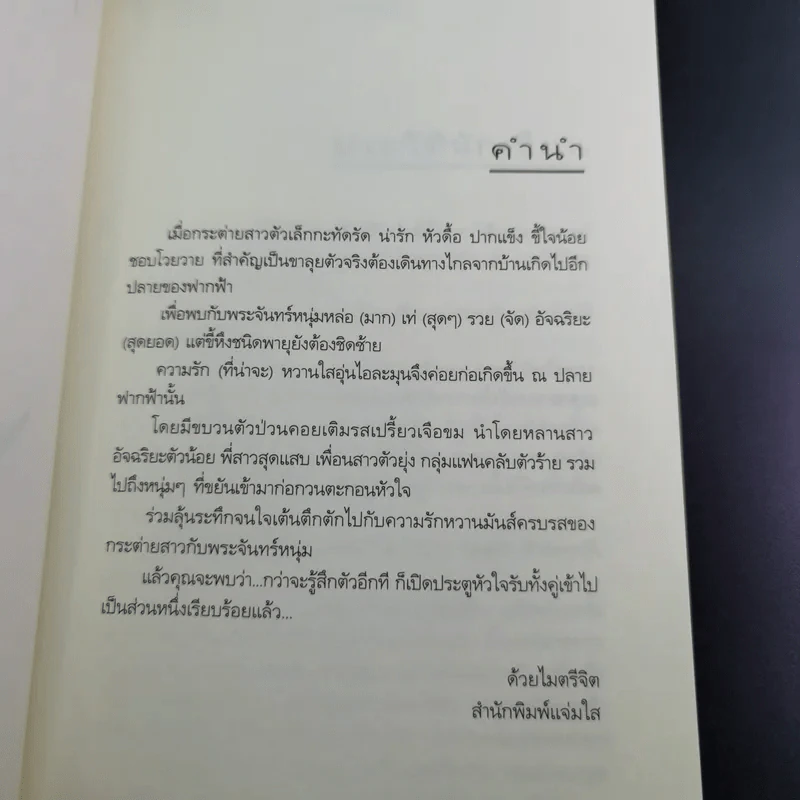 กระต่ายในเงาจันทร์ (ความรู้สึกดีที่เรียกว่ารัก ชุดพิเศษ) - นราเกตต์ รูปที่ 11
