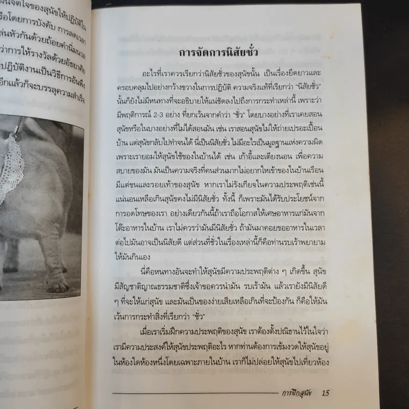การฝึกสุนัข - ศักดิ์ สุคนธรกุล รูปที่ 12