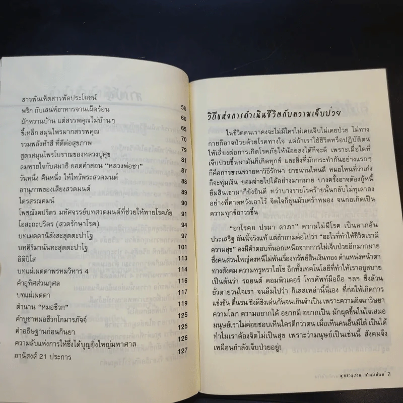 ธรรมะบำรุงใจ สมุนไพรบำบัดโรค - จิตศรัทธา พุทธานุภาพ รูปที่ 11