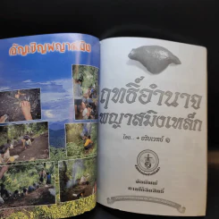 ประสบการณ์ชีวิตเหล็กไหล ฤทธิ์อำนาจ พญาสมิงเหล็ก รูปที่ 10