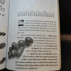 ประสบการณ์ชีวิตเหล็กไหล ฤทธิ์อำนาจ พญาสมิงเหล็ก รูปที่ 12