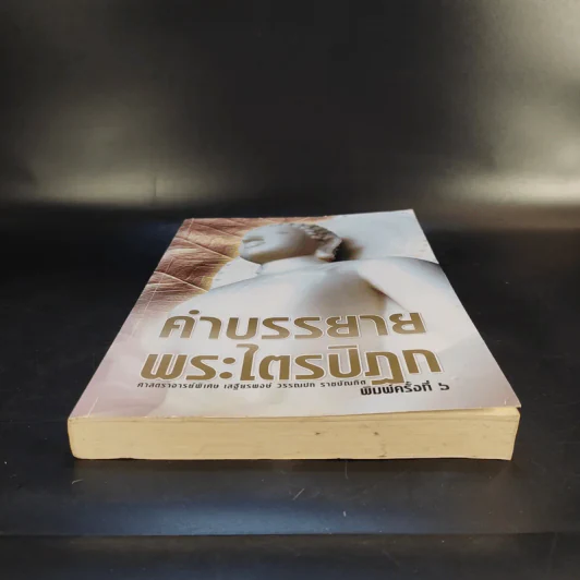 คำบรรยายพระไตรปิฎก - เสฐียรพงษ์ วรรณปก รูปที่ 4