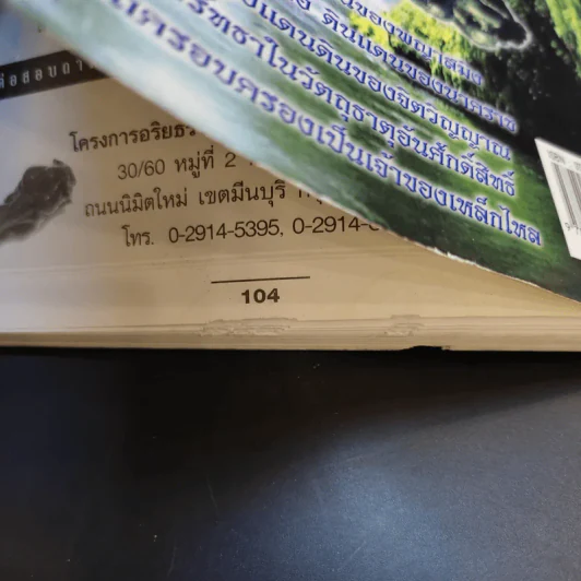 ประสบการณ์ชีวิตเหล็กไหล ฤทธิ์อำนาจ พญาสมิงเหล็ก รูปที่ 14