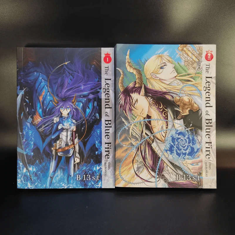 The Legend of Blue Fire มังกรผู้เฝ้าหอคอย 2 เล่มจบ - B 13 S.t รูปที่ 1
