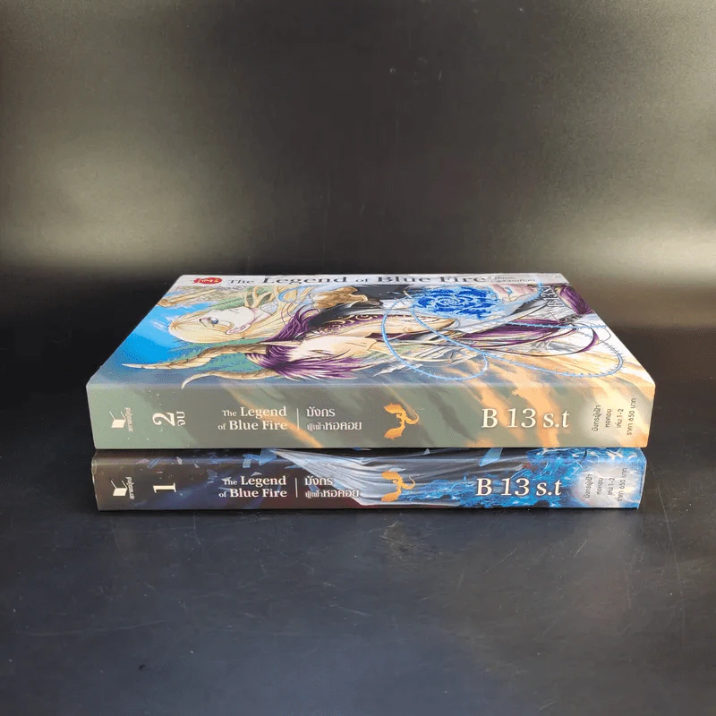 The Legend of Blue Fire มังกรผู้เฝ้าหอคอย 2 เล่มจบ - B 13 S.t รูปที่ 2
