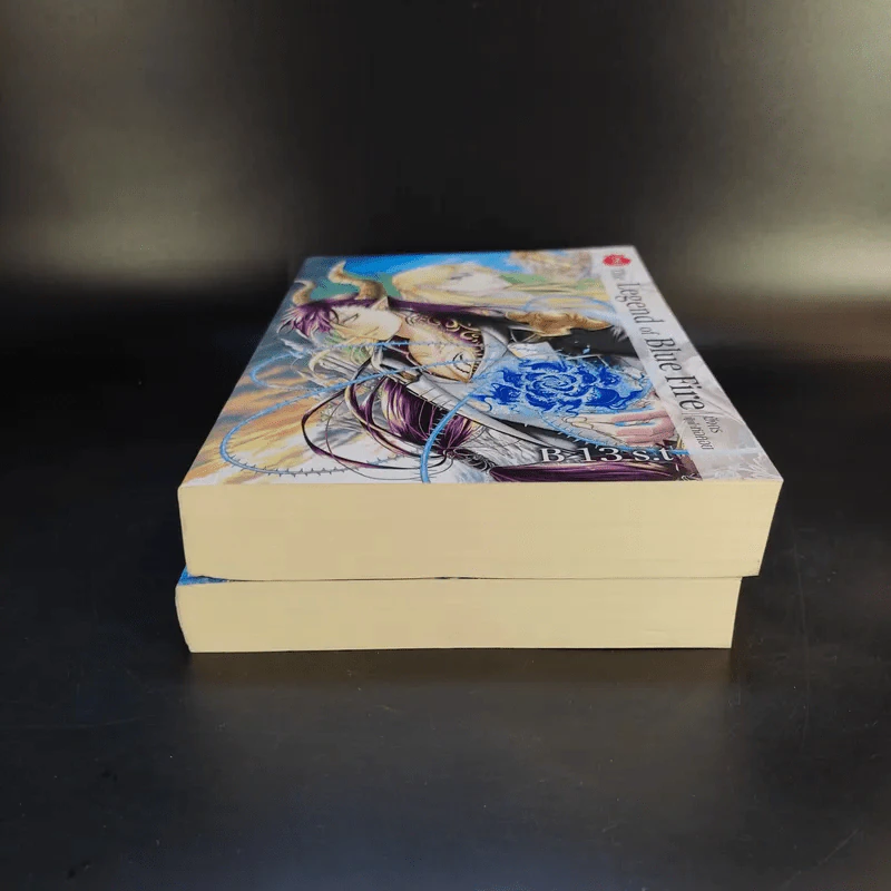 The Legend of Blue Fire มังกรผู้เฝ้าหอคอย 2 เล่มจบ - B 13 S.t รูปที่ 3