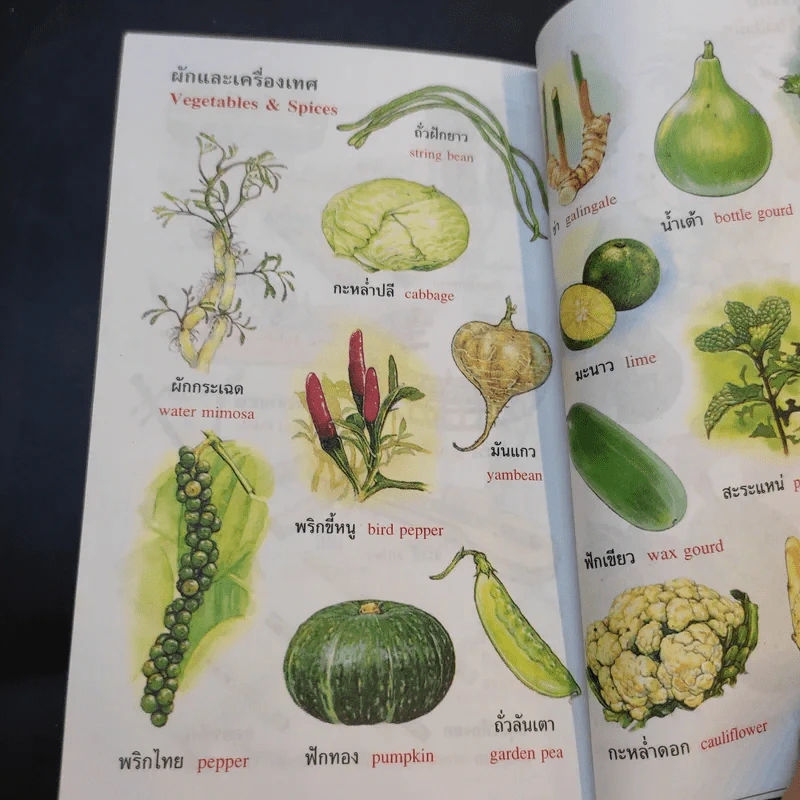 New Model English-Thai Thai-English Dictionary - สอ เสถบุตร รูปที่ 12