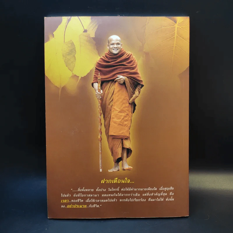 ยาใจคนบุญ - พระอาจารย์ ปกรณ์ กนตวีโร รูปที่ 2