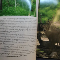 ก่อนจะเหลือไว้เพียงตำนานของสัตว์ป่า รูปที่ 10