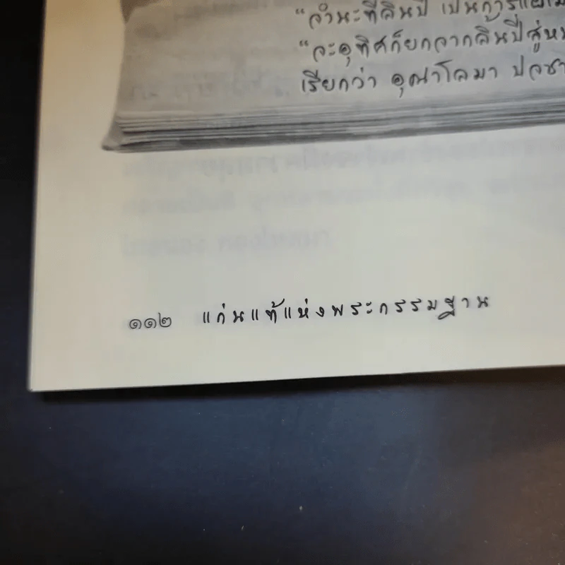 แก่นแท้แห่งพระกรรมฐาน - หลวงพ่อจรัญ จิตธมโม รูปที่ 16