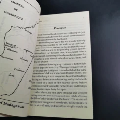 Chameleon Man - Paul Adirex รูปที่ 9
