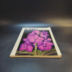 แวนด้า Vanda - ไชยา-ลาวัลย์ รูปที่ 4
