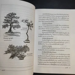 บอนไซ Bonsai - ชาง ตันสกุล รูปที่ 11
