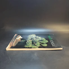 บอนไซ Bonsai - ชาง ตันสกุล รูปที่ 5