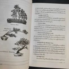 บอนไซ Bonsai - ชาง ตันสกุล รูปที่ 12
